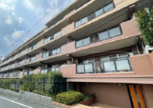 外観：313004667581