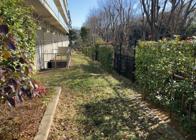 中庭（パティオ）とは、一つの建築物の内部に設けられた、壁などで囲われている庭のことを指します。コの字型、ロの字型が主流ですが、L字型の中庭もあります。最近では、インテリア性の高さからも人気があります。