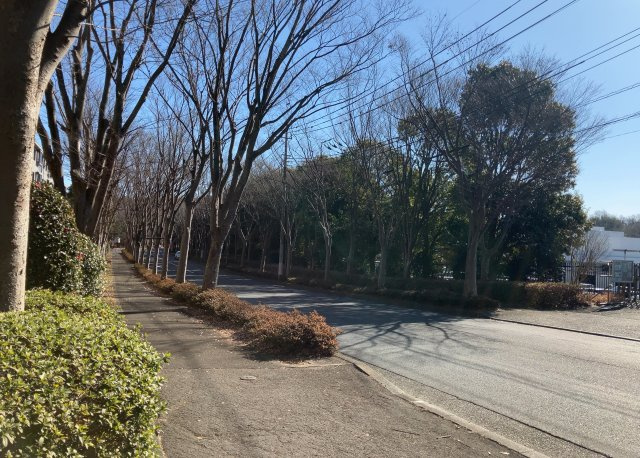 眺望の良さを楽しめるダイニングキッチンで家族団らんの時間を過ごしてはいかがでしょうか。バルコニーから見える景色を家族で眺める時間は、時間が経つのを忘れてしまいそうですね。是非、現地を見に行きましょう！