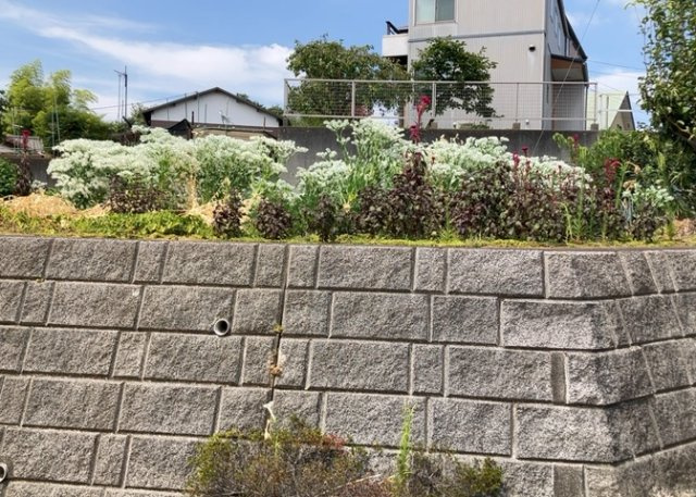 家を建てる前提で土地を探している場合、地盤の丈夫さは譲れない条件の一つです。地盤が脆弱だと追加工事が必要となります。また、過去に地盤沈下や液状化現象を起こした土地は、できるだけ避けた方がいいでしょう。
