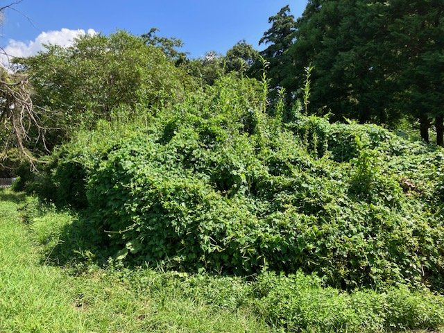 外観：312001046834