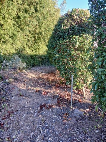 外観：311002284865