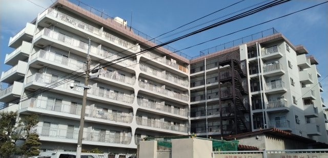 外観：313004616159