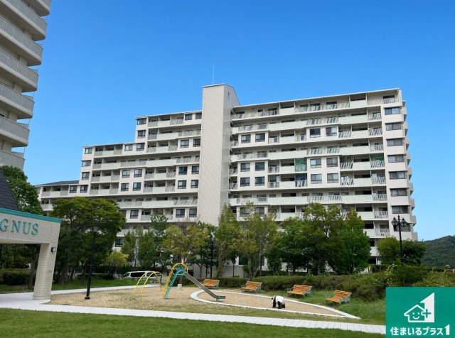 外観：328000684359