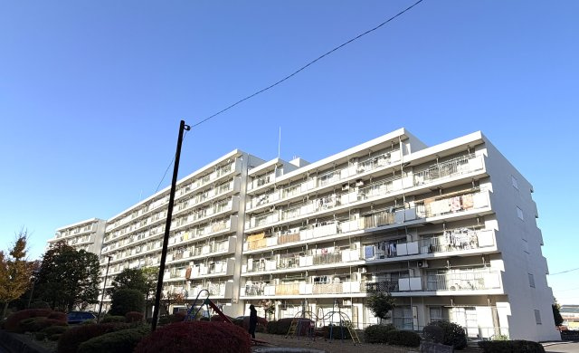 外観：313004664050