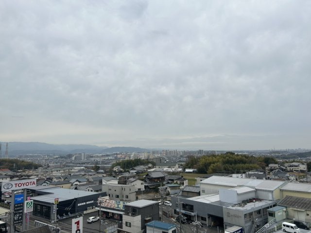 展望