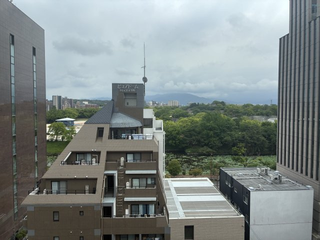 展望