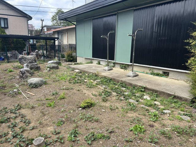 庭
