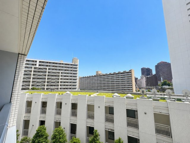 展望