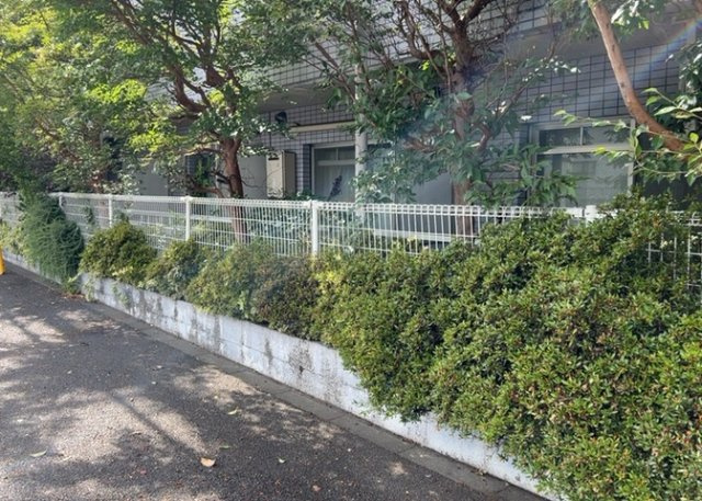 物件によっては、入居者が個人的に使用できる専用庭がついているものもあります。また、住宅の中にある土間の部分を庭と呼ぶこともあります。庭の用途は住む人によって変わり、それによってデザインもさまざまです。