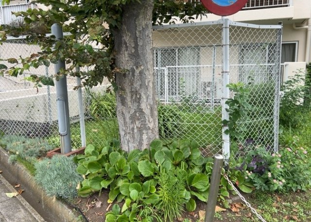 敷地内の共用スペースには緑豊かな空間が広がっています。居住者同士の憩いの場としても利用でき、落ち着いた雰囲気が漂います。管理が行き届いた共用環境で、心地よいマンションライフをお過ごしいただけます。