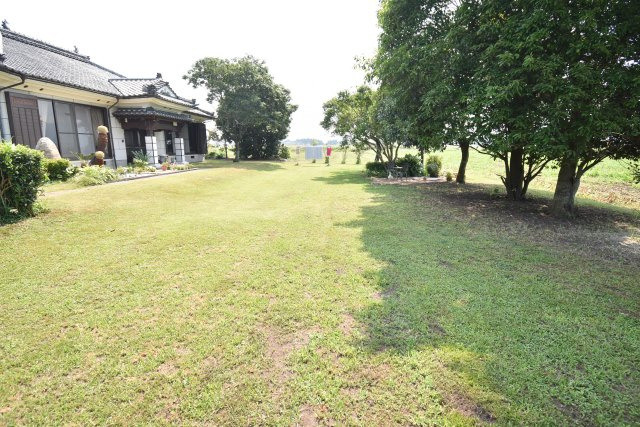 庭