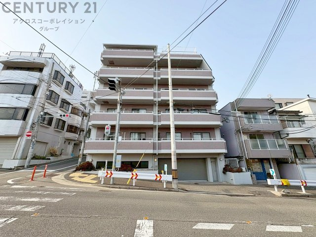 鉄筋コンクリート造地下1階付5階建