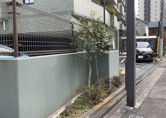 中庭（パティオ）とは、一つの建築物の内部に設けられた、壁などで囲われている庭のことを指します。コの字型、ロの字型が主流ですが、L字型の中庭もあります。最近では、インテリア性の高さからも人気があります。