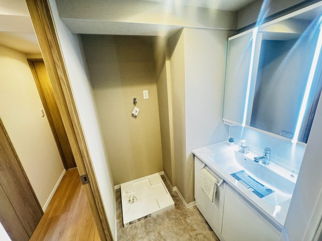 現地写真　洗面脱衣所もリフォーム済みです。