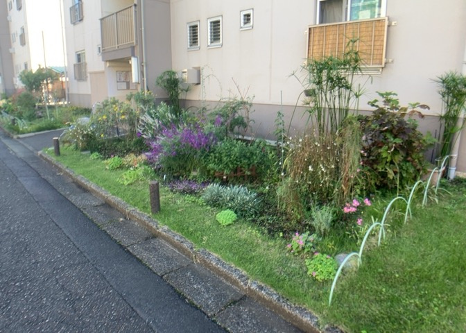 庭のある家に住むことのメリットとして、子どもたちの遊び場を確保できること、ガーデニングや家庭菜園を楽しめること、明るさを確保できることがあります。また、配置を工夫することでプライバシーが確保できます。