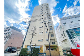 サーラ442の外観