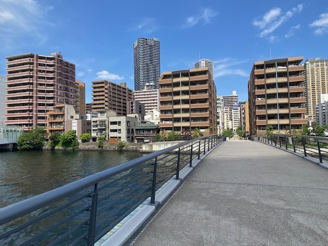 橋の右側のマンションまでが準備組合の区画です