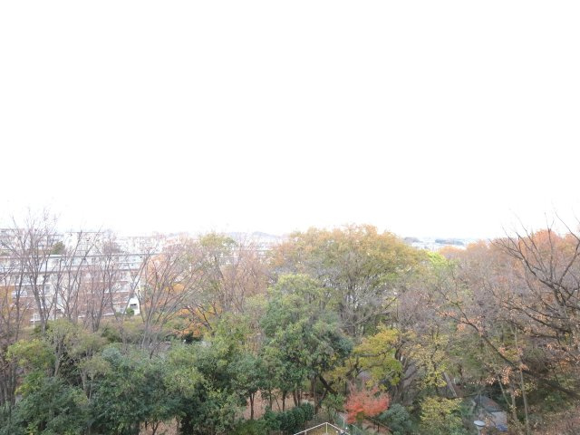 北側眺望