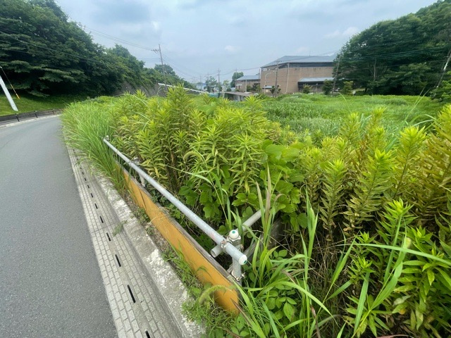 外観：314001465764