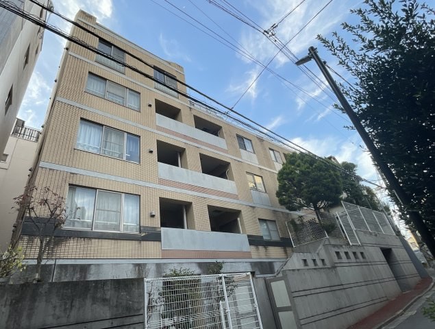 外観：313004663646