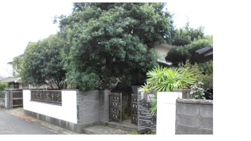 外観：343000091949