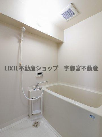 現地写真