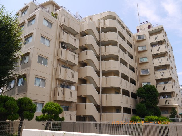 外観：313004686025