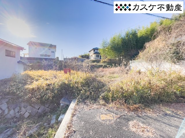 外観：333000053367