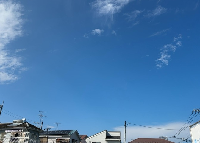 バルコニーは、室外の専用スペースのうち、「屋根がなく開放された空間」であるものを指します。ベランダより広いタイプのものが多く、日当たりもよいため家庭菜園などを楽しみたい人にとって適した環境となります。