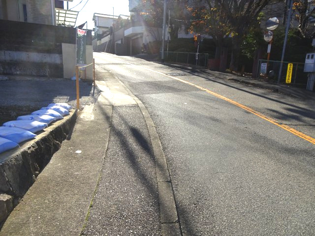 前面道路含む現地写真