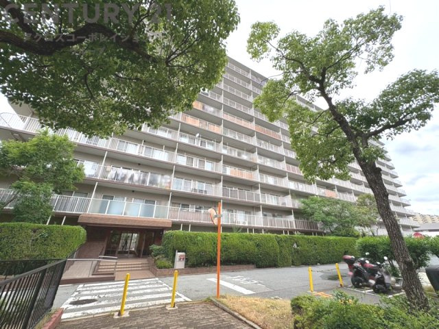 鉄筋コンクリート造11階建て