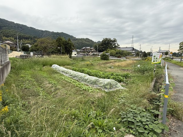 外観：329000134145