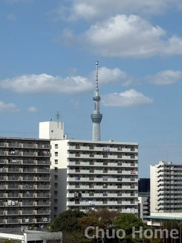 スカイツリーが望めます
