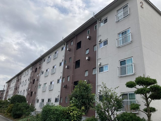 外観：314002388223