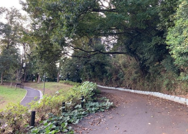 外観：313004468604