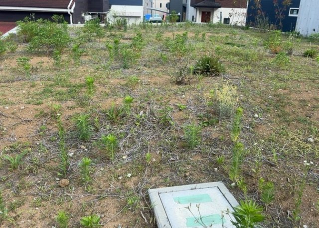 土地探しをしていると都市計画区域という言葉を目にすると思います。法律によって、都道府県知事や国土交通大臣が指定するエリアのことを指しており、都市計画区域は市街化区域と市街化調整区域に分けられています。