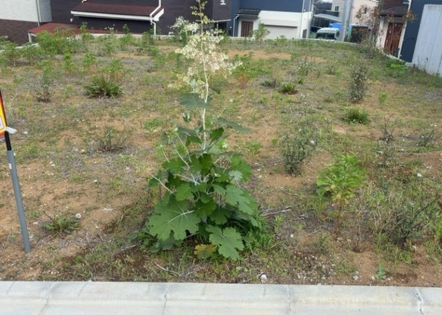 家を建てる前提で土地を探している場合、地盤の丈夫さは譲れない条件の一つです。地盤が脆弱だと追加工事が必要となります。また、過去に地盤沈下や液状化現象を起こした土地は、できるだけ避けた方がいいでしょう。