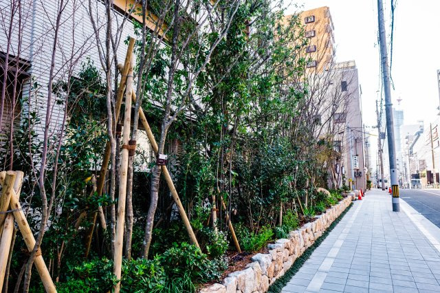 【周辺】周りの歩道もきれいです！マンションの周りは木々に囲まれています。