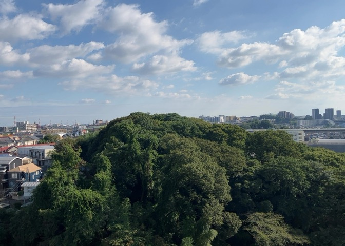 10階最上階からの素晴らしい眺望が広がるロケーションです。周囲に遮る高い建物が少ないため遠くまで見渡すことができ、晴れた日には青空を贅沢に味わえます。夜には落ち着いた街の灯りも楽しめる眺めです。