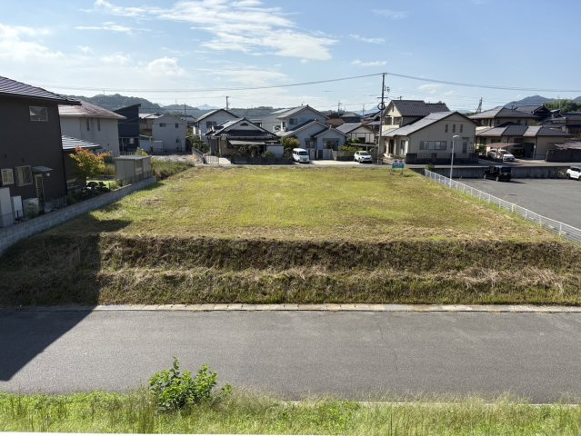 外観：334000231537