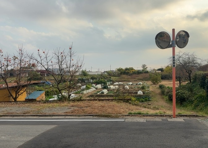 外観：314002558073