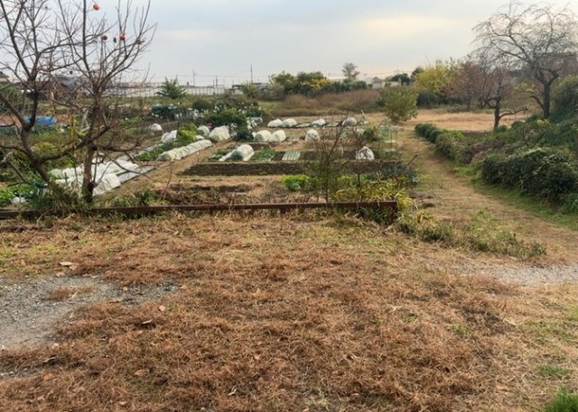 家を建てる前提で土地を探している場合、地盤の丈夫さは譲れない条件の一つです。地盤が脆弱だと追加工事が必要となります。また、過去に地盤沈下や液状化現象を起こした土地は、できるだけ避けた方がいいでしょう。