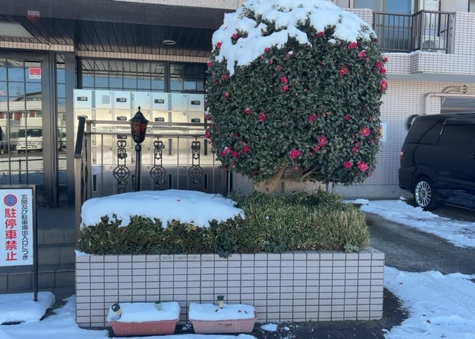 物件によっては、入居者が個人的に使用できる専用庭がついているものもあります。また、住宅の中にある土間の部分を庭と呼ぶこともあります。庭の用途は住む人によって変わり、それによってデザインもさまざまです。