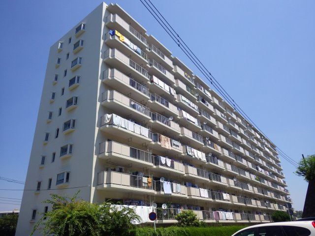外観：314002859454