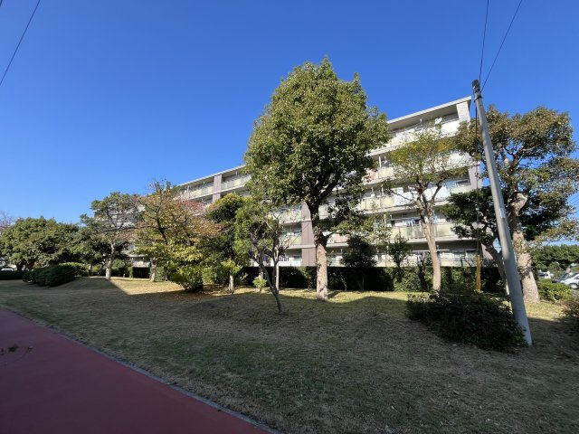 外観：314002697464