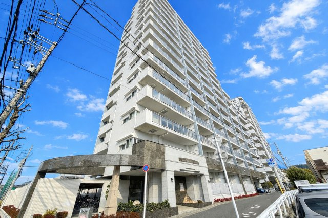 外観：334000229163