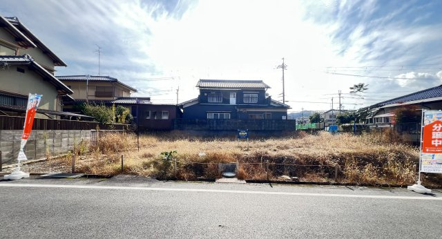 2025年12月3日撮影