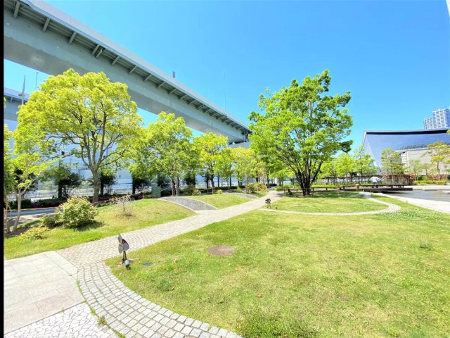 庭