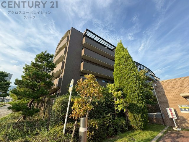 外観：328000524165